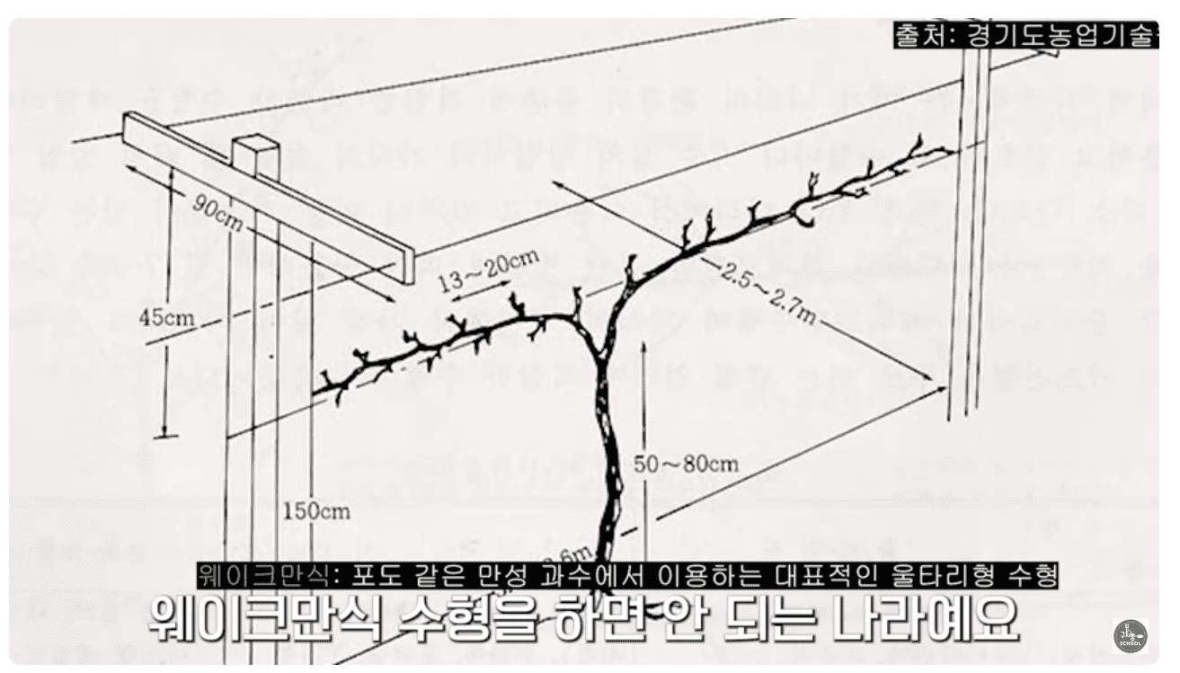 웨이크만식.png