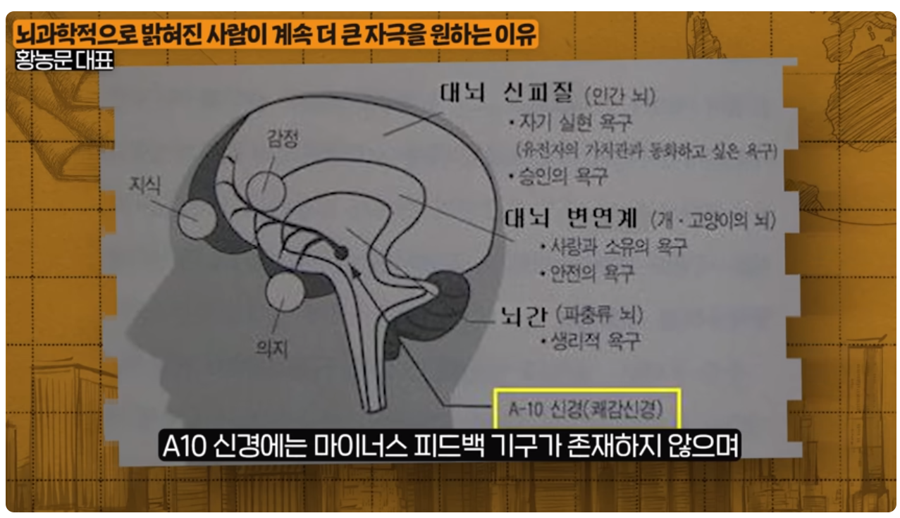 A-10 신경.png