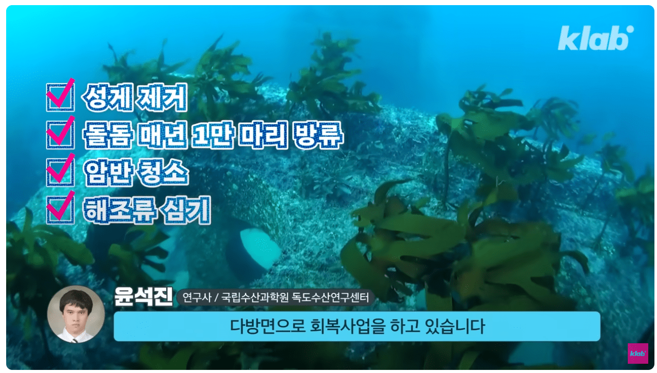 회복사업.png