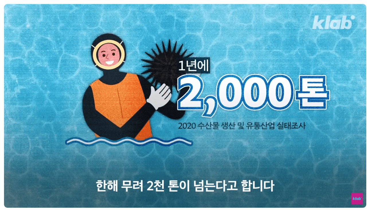 해녀 성게 1년에 2000톤 건짐.png