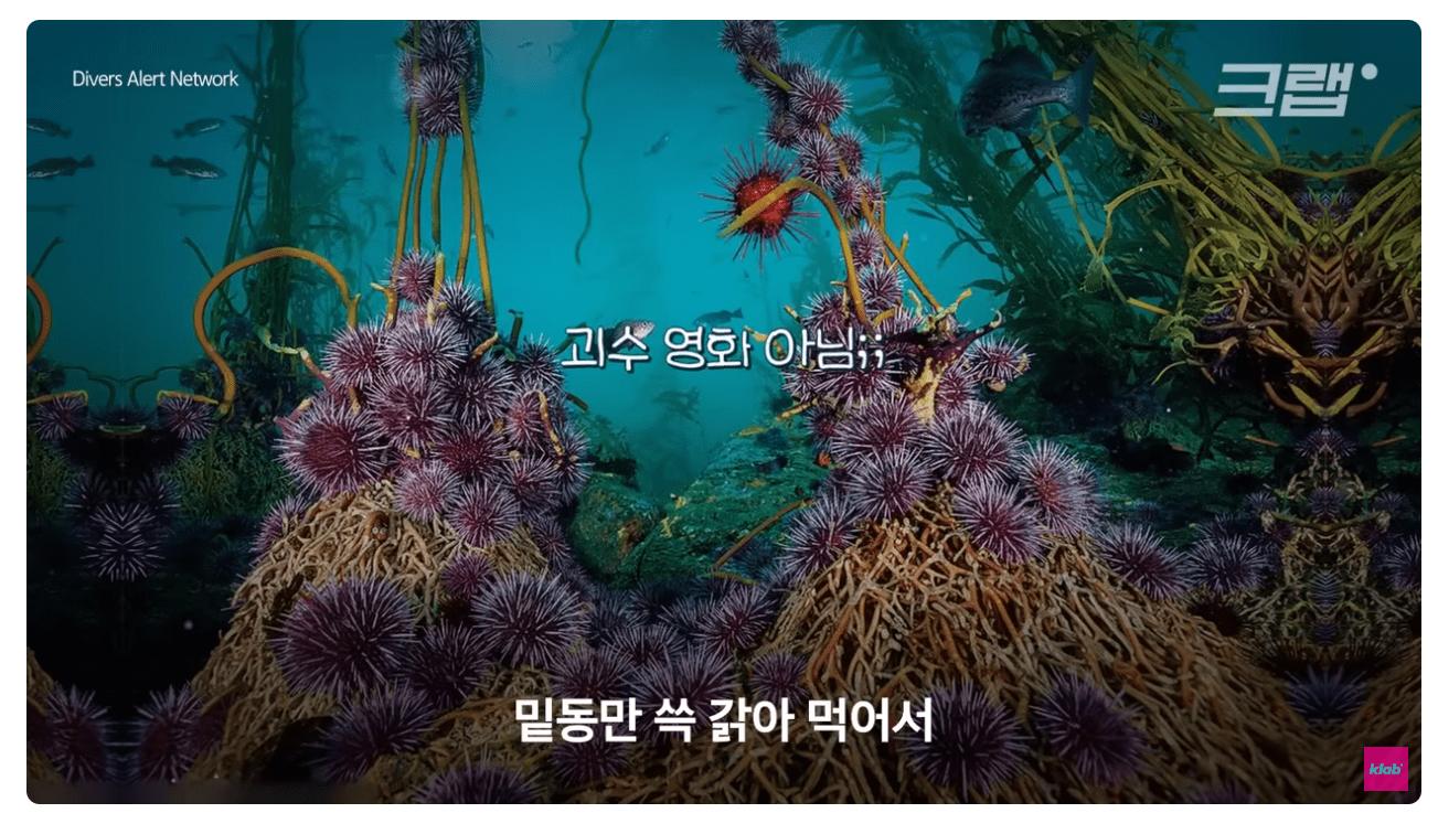 성게.png