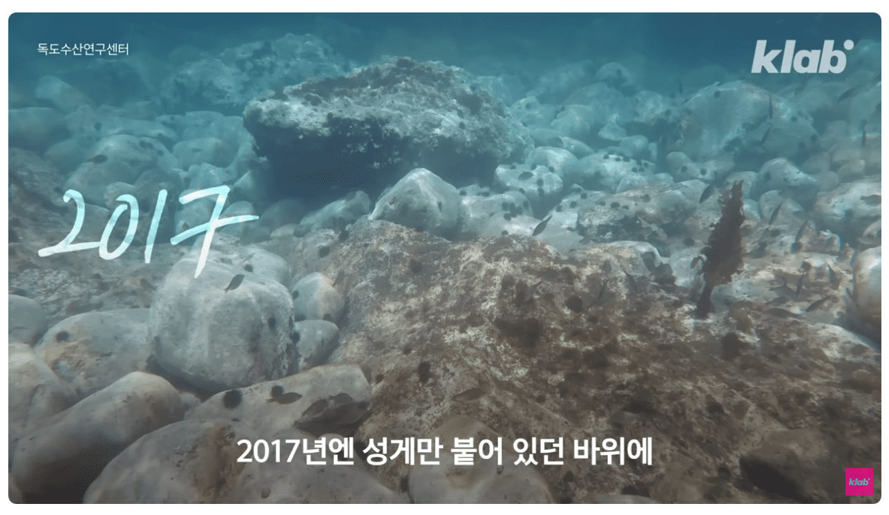 2017년 독도 바다.png