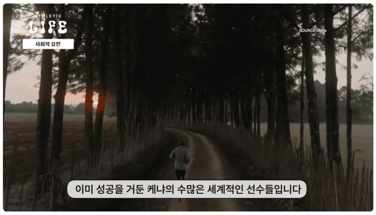 사회적 요인.png