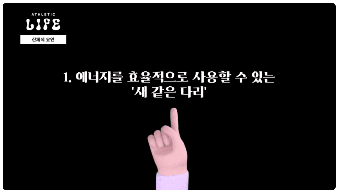 신체적 요인.png