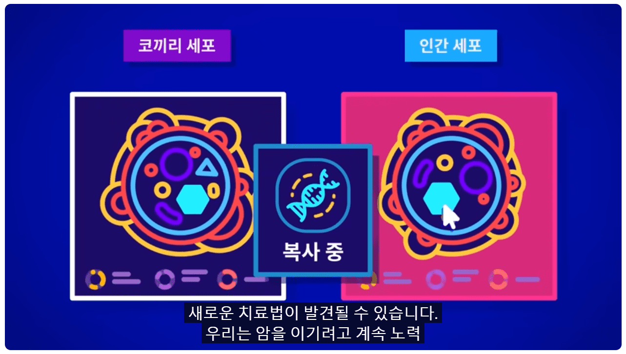 새로운 치료법.png