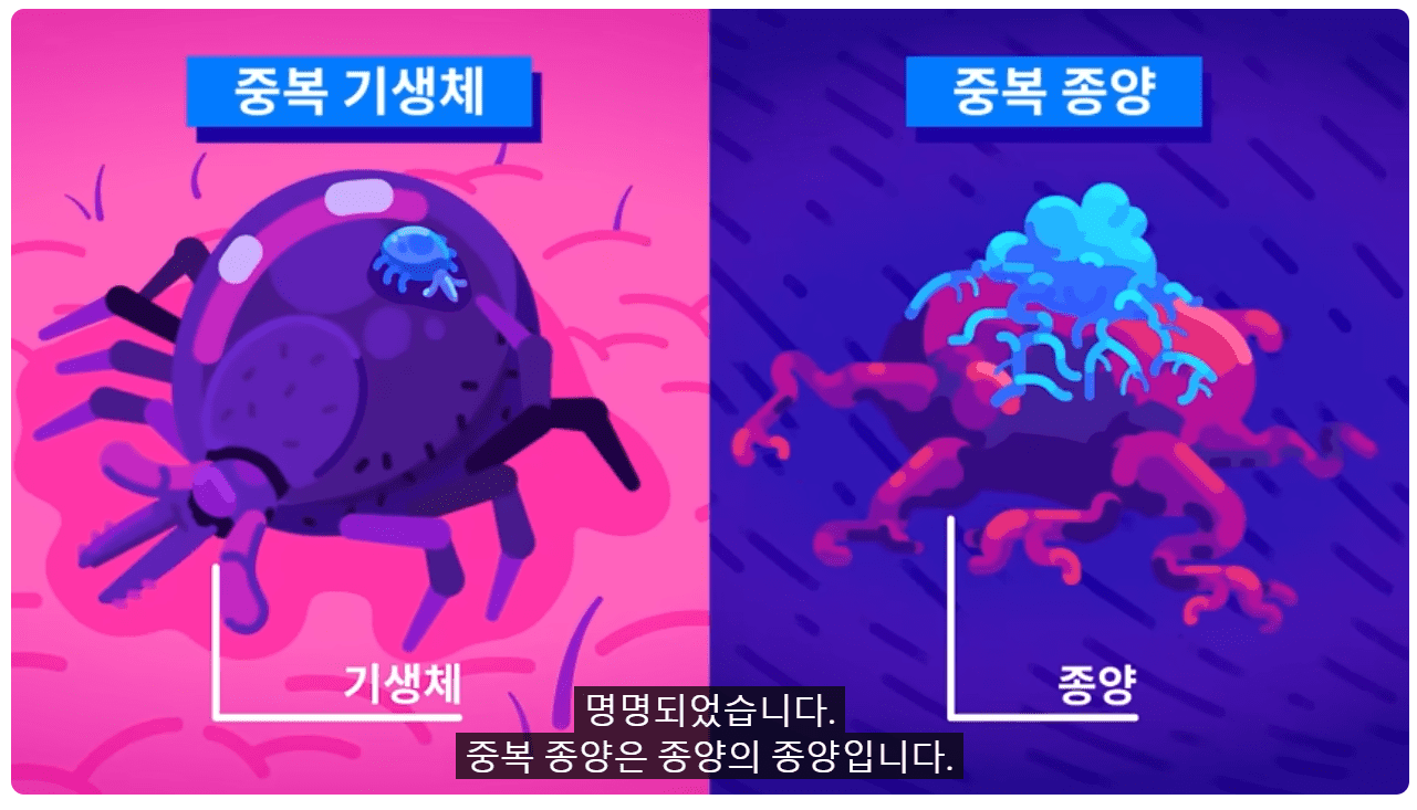 중복 종양.png