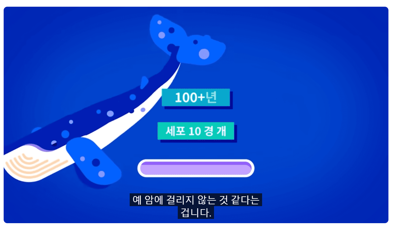 대왕고래.png