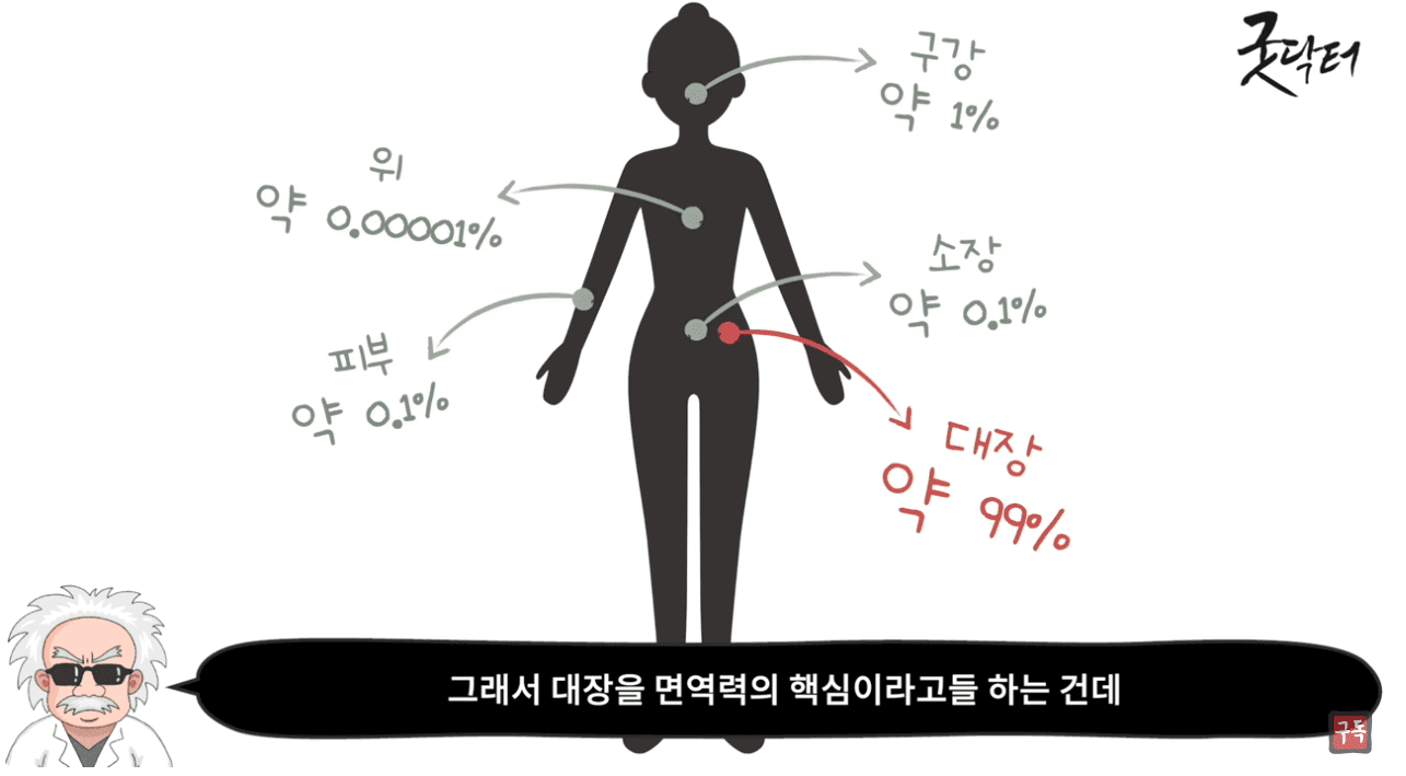 면역력의 핵심 대장.png