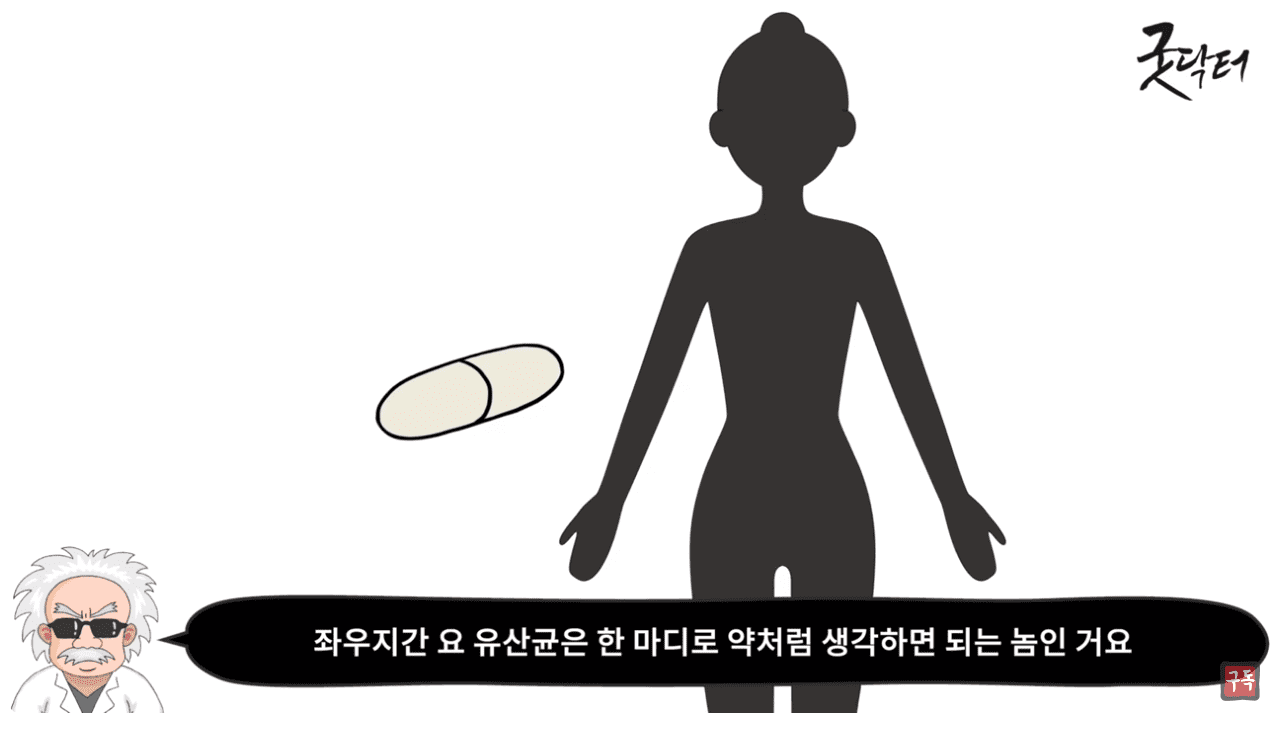 유산균은 약.png