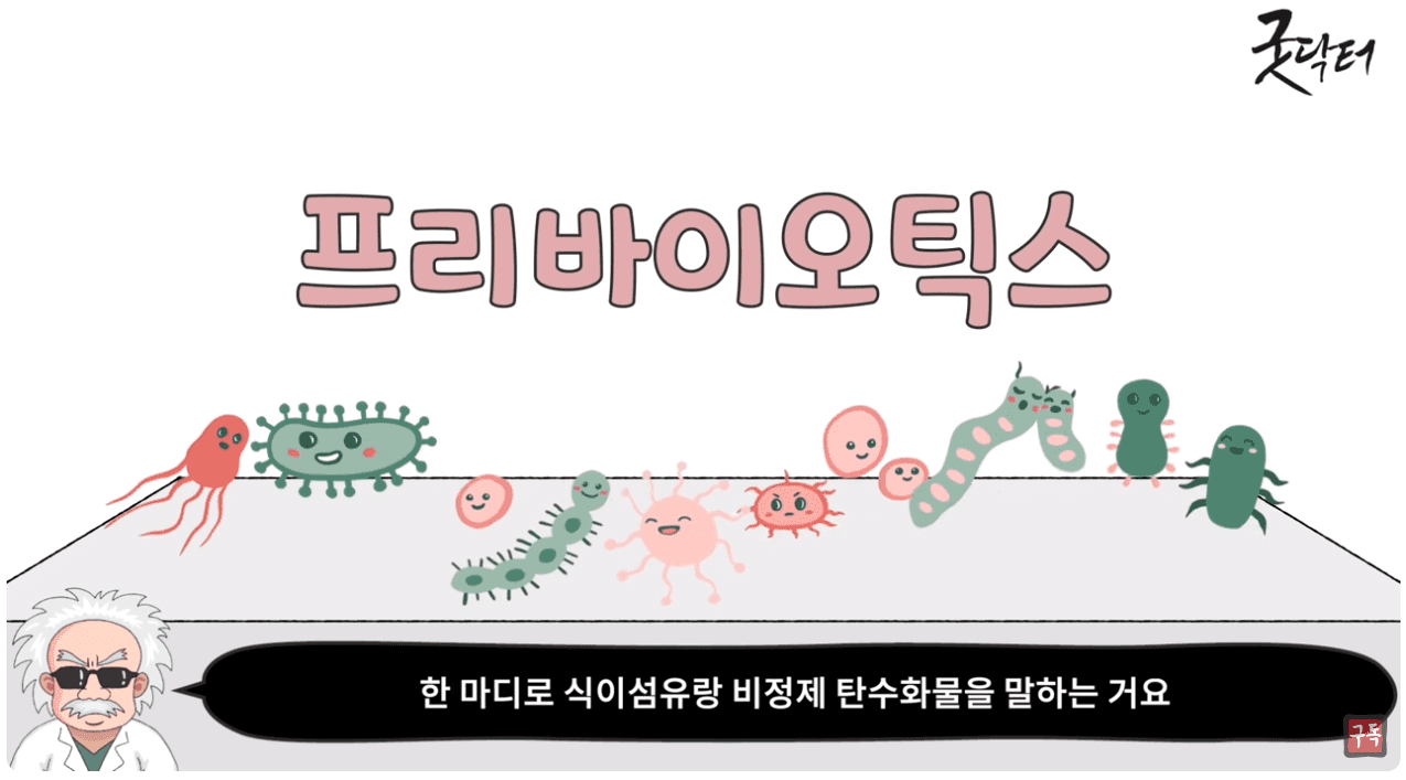 프리바이오틱스.png