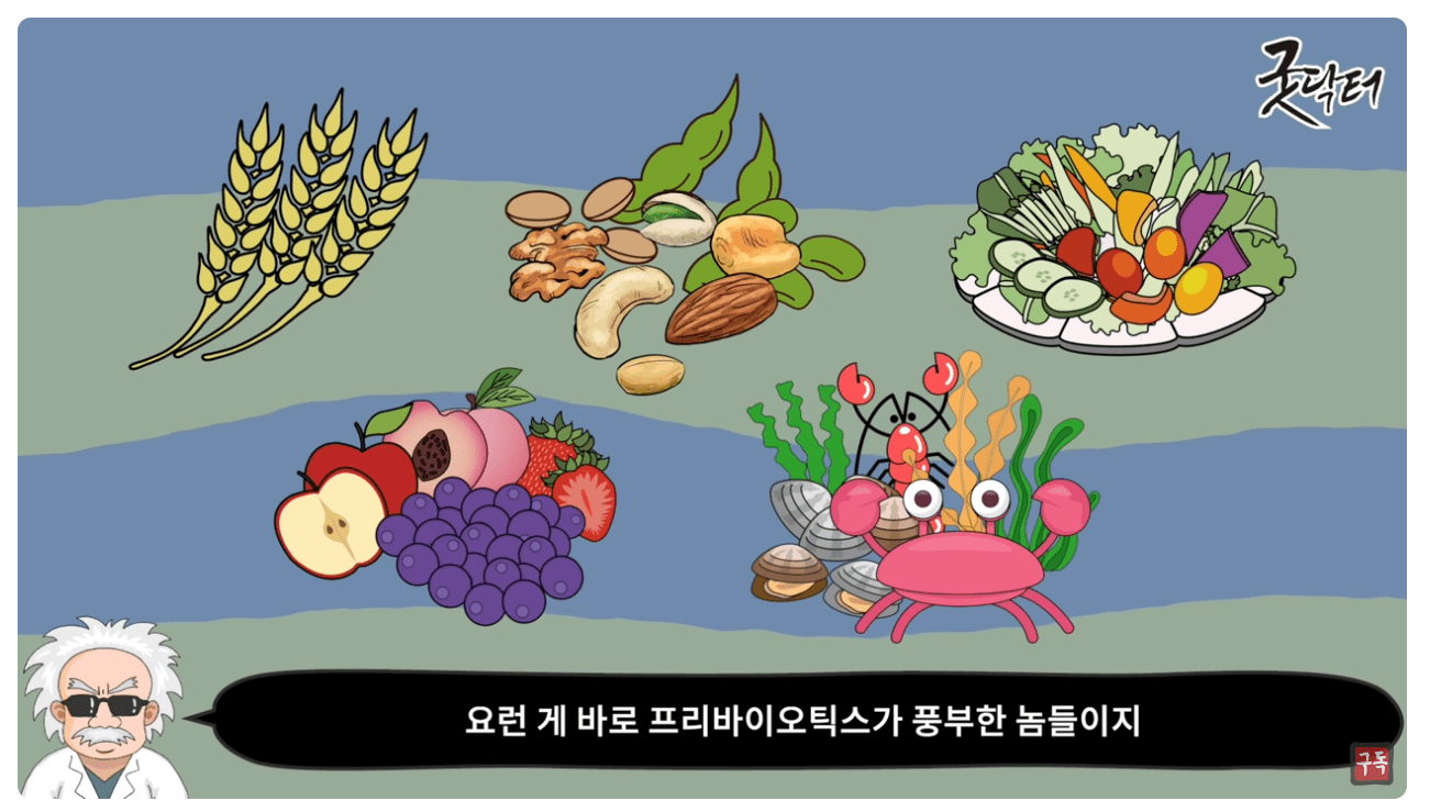 유익균 먹이.png