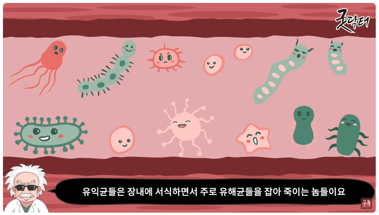 유익균.png