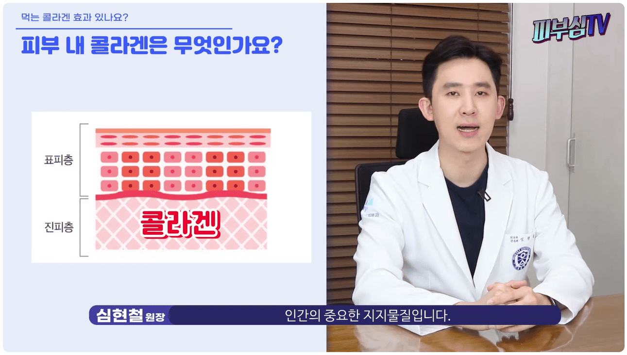 지지물질.png