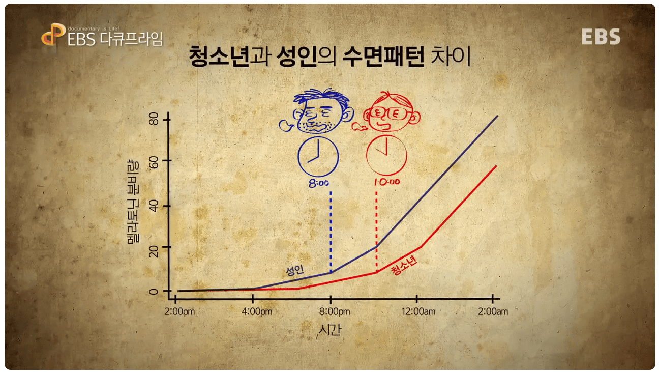 청소년 수면 패턴.png