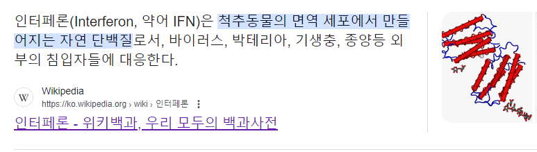 인터페론.png