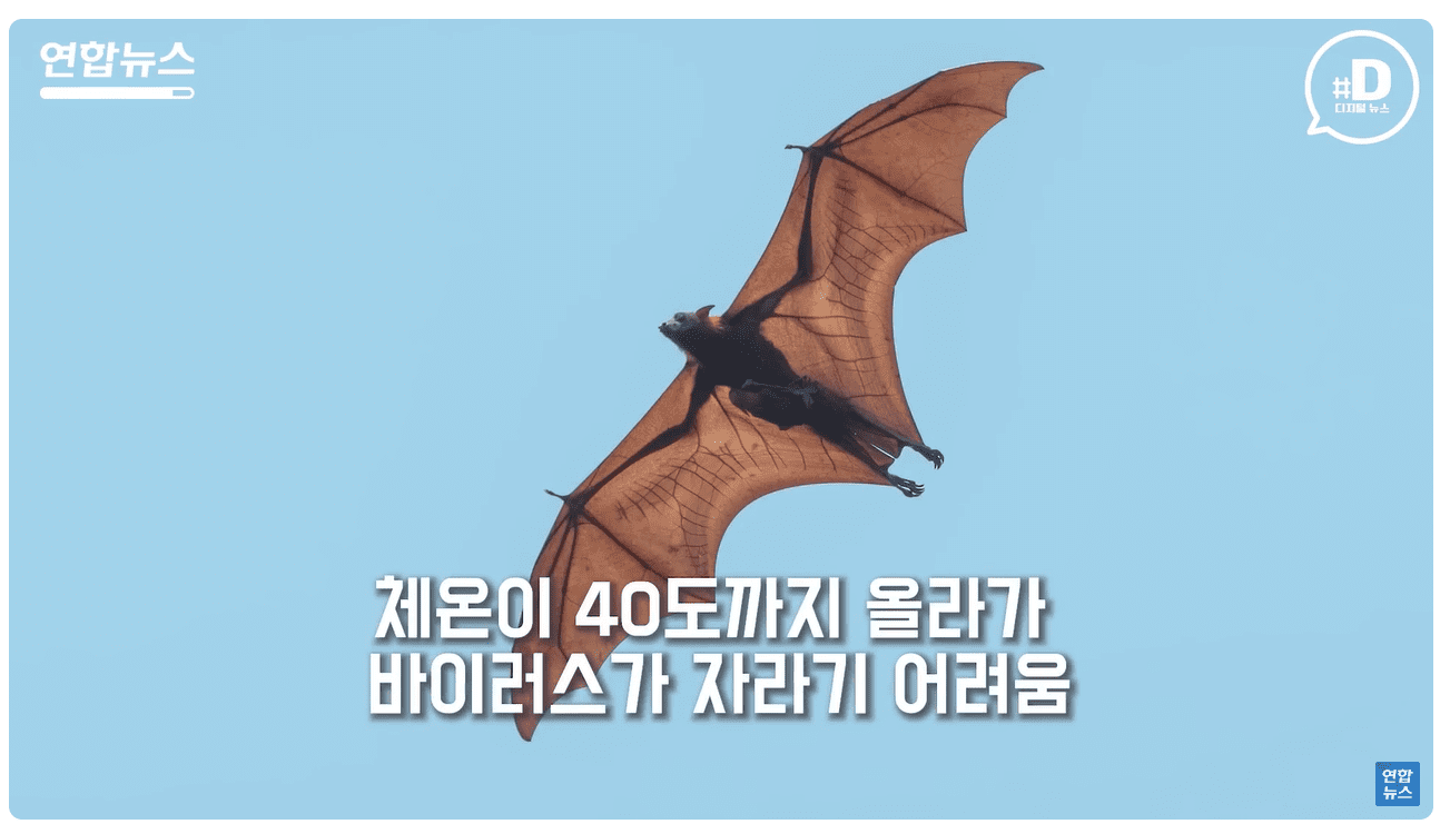 40도.png