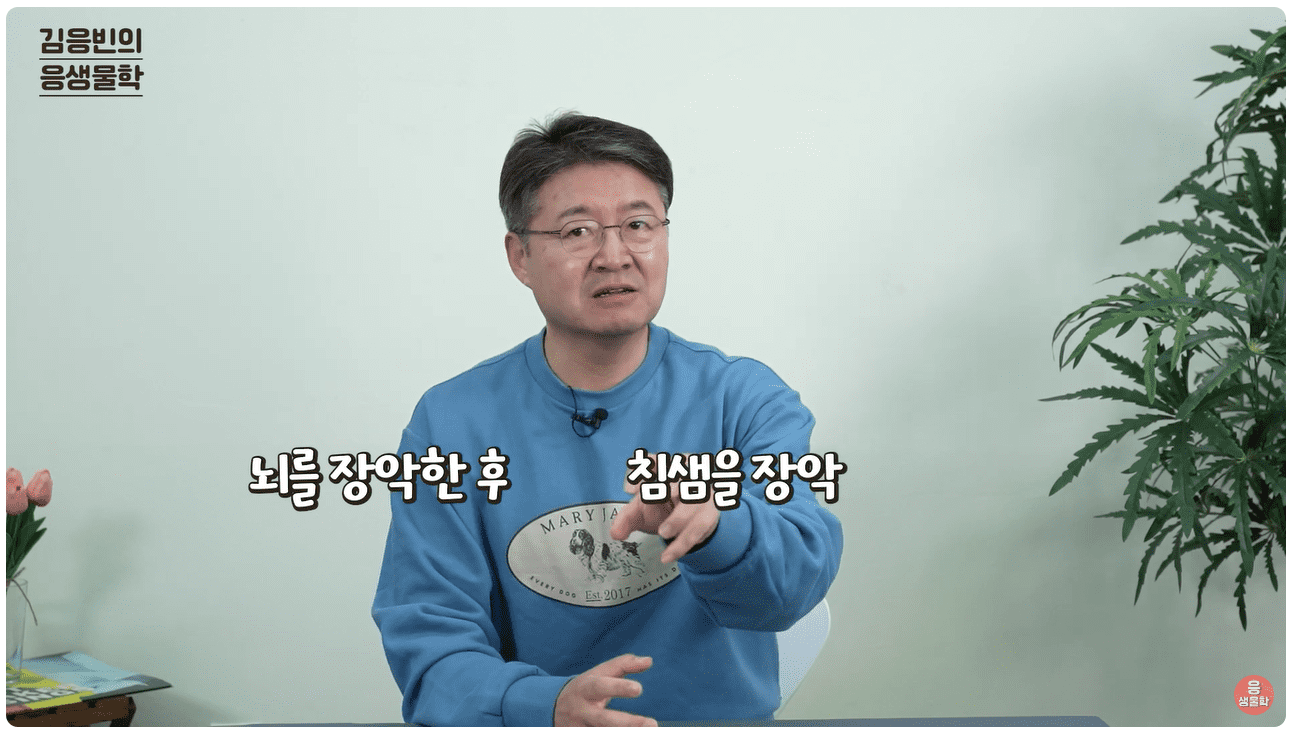 뇌를 장악.png