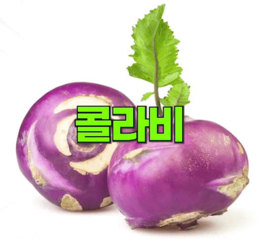 콜라비.png