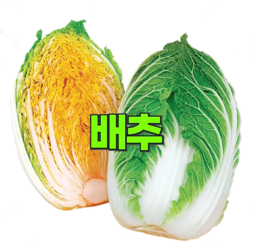 배추.png