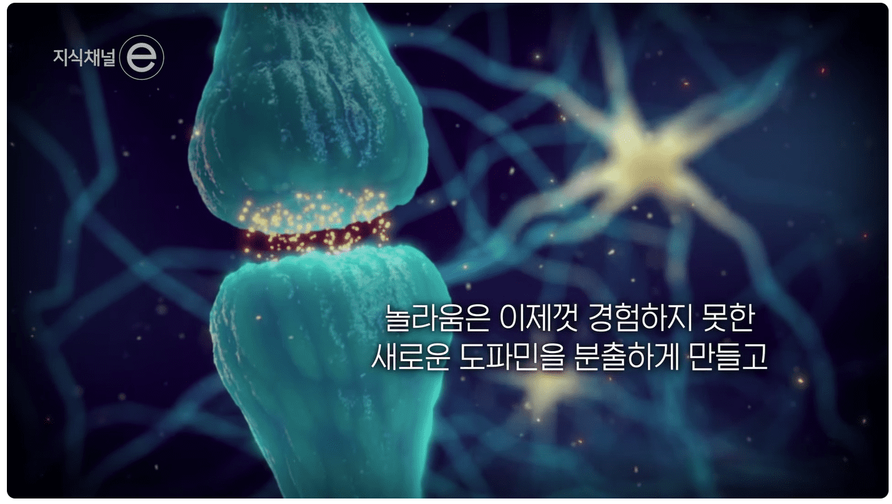 도파민.png