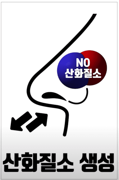 산화질소.png