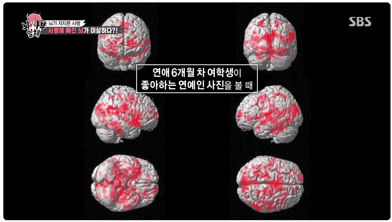 좋아하는 연예인.png