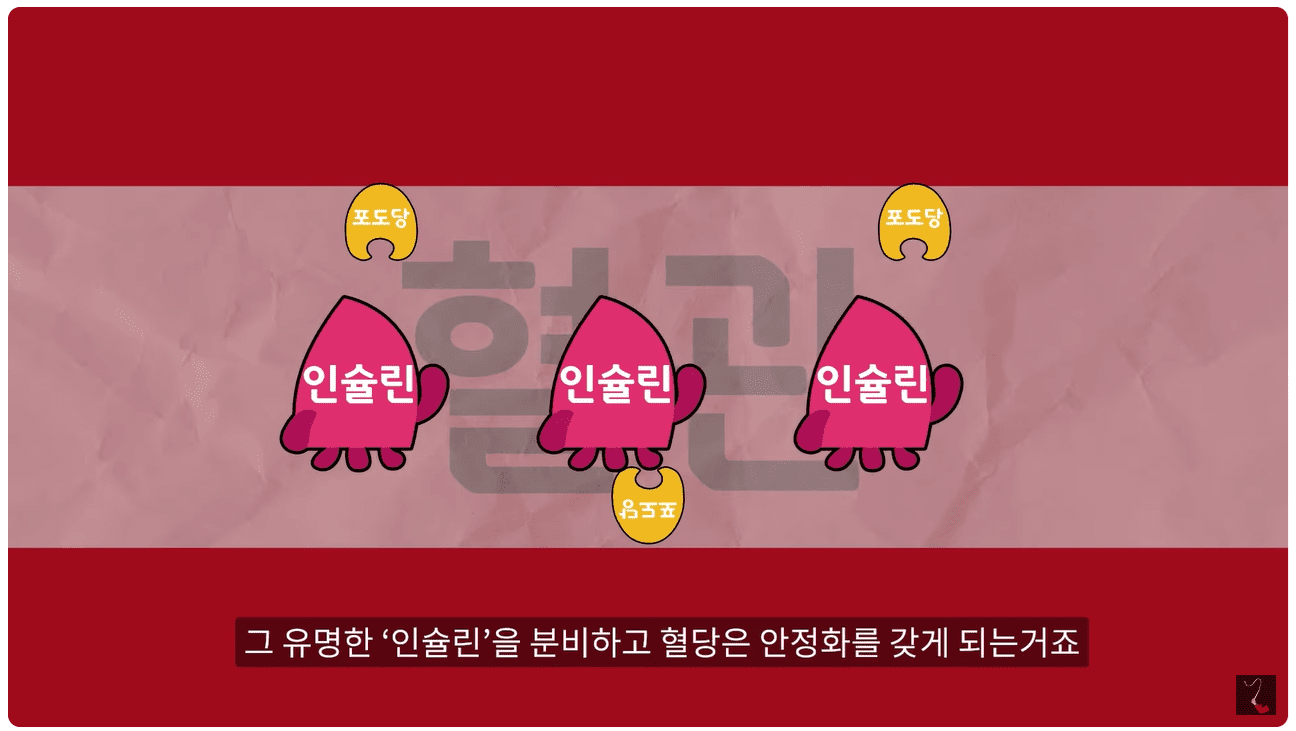 인슐린.png