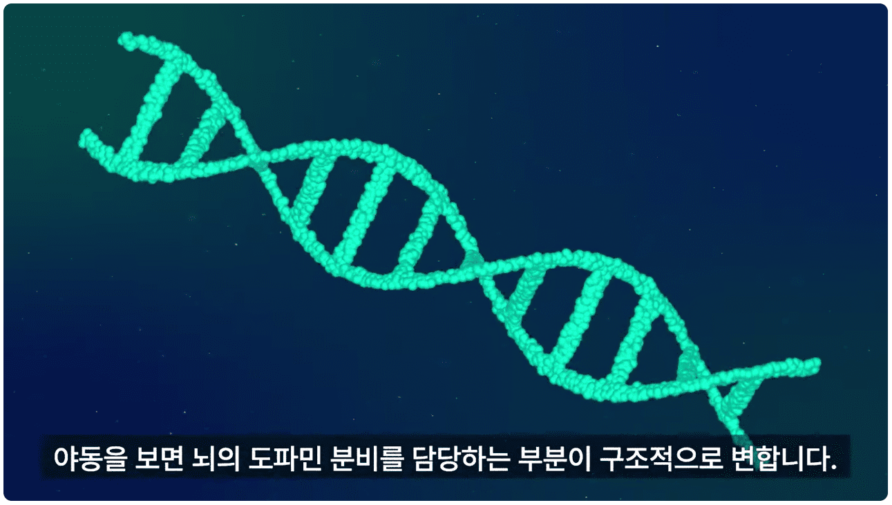 도파민 분비 부분 구조적 변화.png