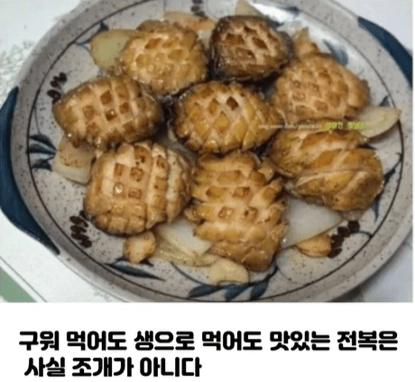 전복은 조개가 아니다.png