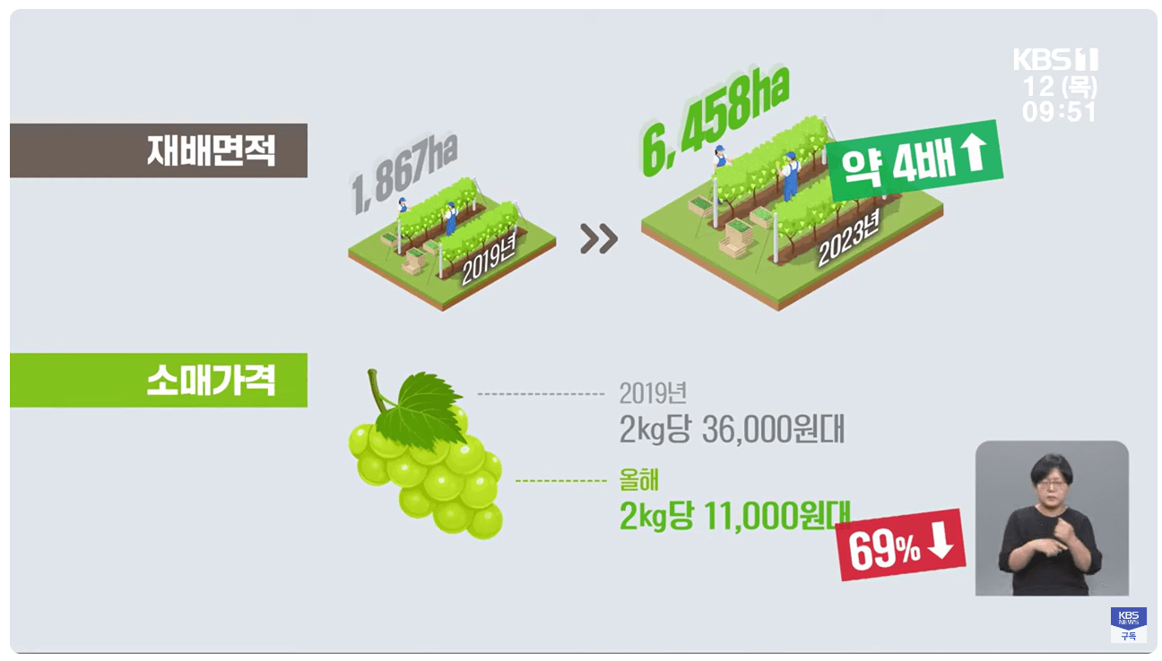 재배면적증가.소매가격하락.png