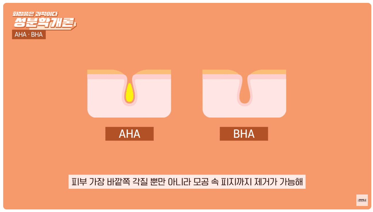 지용성.png