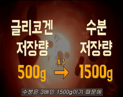 2kg감소.png