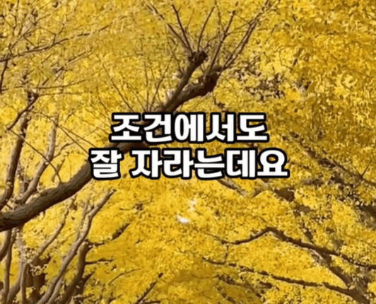 다양한 조건.png