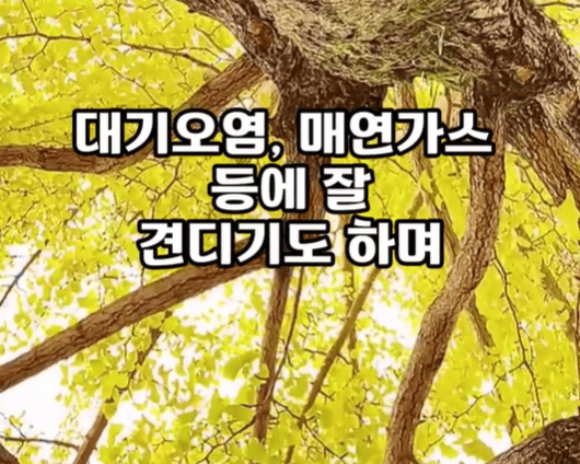 대기오염.png