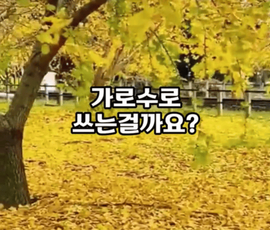 쓰는 이유.png