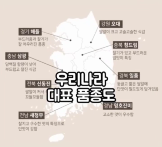 대표품종.png