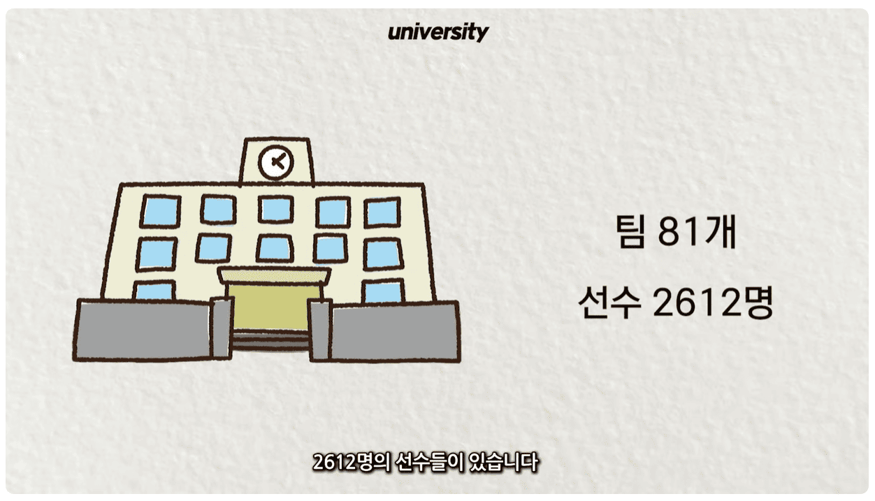 대학교 선수 2612명.png