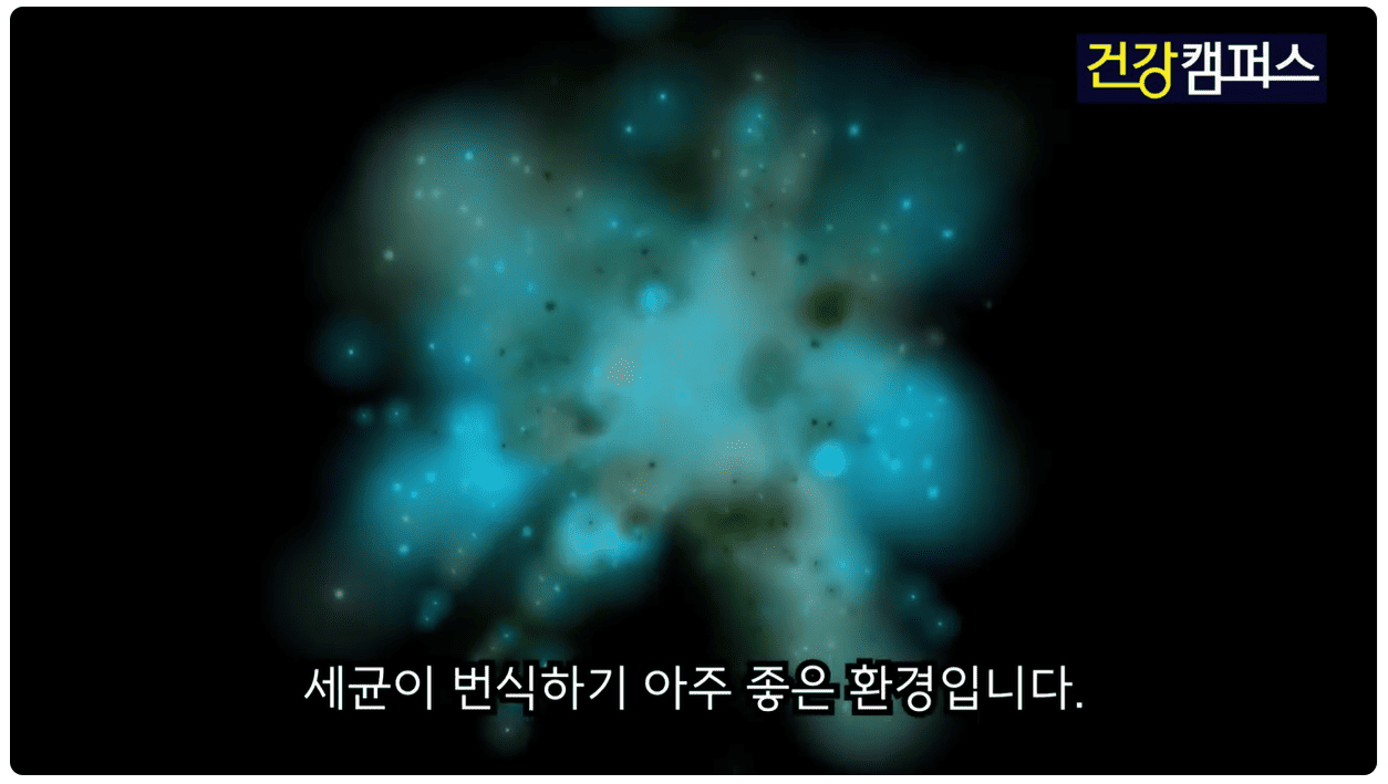 세균이 번식하기 좋은 환경.png