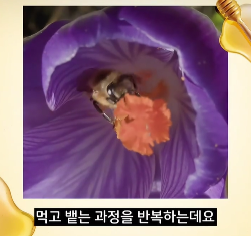 먹고 뱉는.png