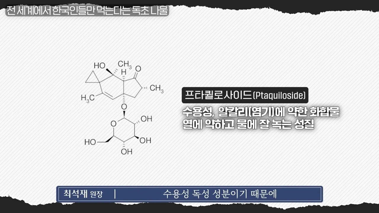 잘못 먹으면 실명됩니다_ 의사들은 공짜로 줘도 안 먹는 음식 _ 의사들의 수다 EP. 22 1-13 screenshot.webp