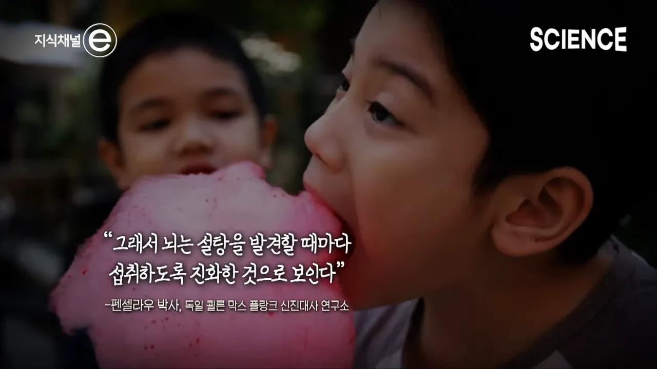 디저트 배 따로 있다는 말이 사실일까_ 🍩 배가 불러도 디저트가 먹고 싶은 이유 _ 지식채널e 3-55 screenshot.webp