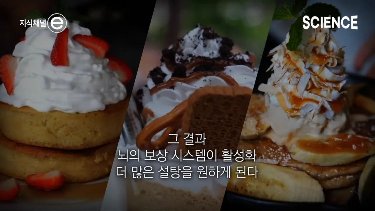 디저트 배 따로 있다는 말이 사실일까_ 🍩 배가 불러도 디저트가 먹고 싶은 이유 _ 지식채널e 3-29 screenshot.webp