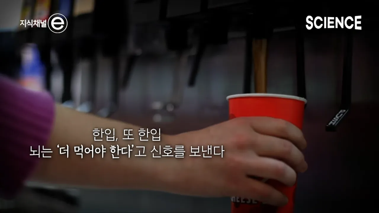 디저트 배 따로 있다는 말이 사실일까_ 🍩 배가 불러도 디저트가 먹고 싶은 이유 _ 지식채널e 4-21 screenshot.webp