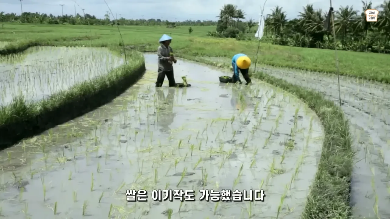 쌀VS밀. 아시아 인구가 압도적으로 많은 이유 4-42 screenshot.webp