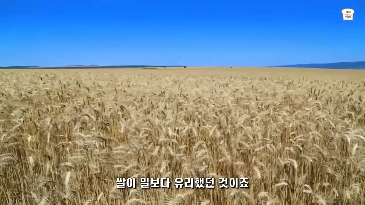 쌀VS밀. 아시아 인구가 압도적으로 많은 이유 4-58 screenshot.webp