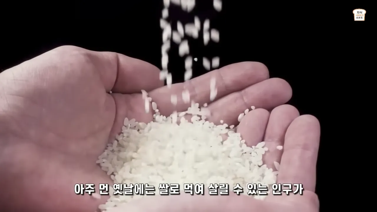 쌀VS밀. 아시아 인구가 압도적으로 많은 이유 4-22 screenshot.webp