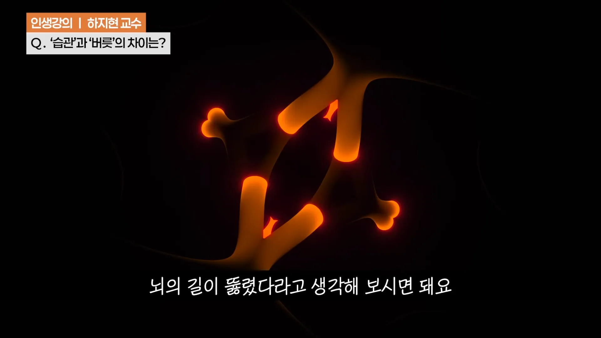 ‼️좋은 (루틴) 하나가 (인생) 송두리째 바꿉니다. ㅣ하지현 정신건강의학과 전문의ㅣ인생강의 11-18 screenshot.webp