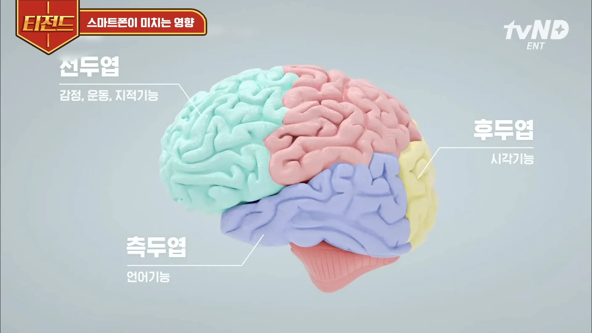 [#티전드] 아이들의 디지털기기 사용을 제한해야 하는 이유. 뇌 발달의 불균형을 초래한다😢 뇌 신경망을 잘라내기까지 ㄷㄷ _ #미래수업 3-52 screenshot.webp
