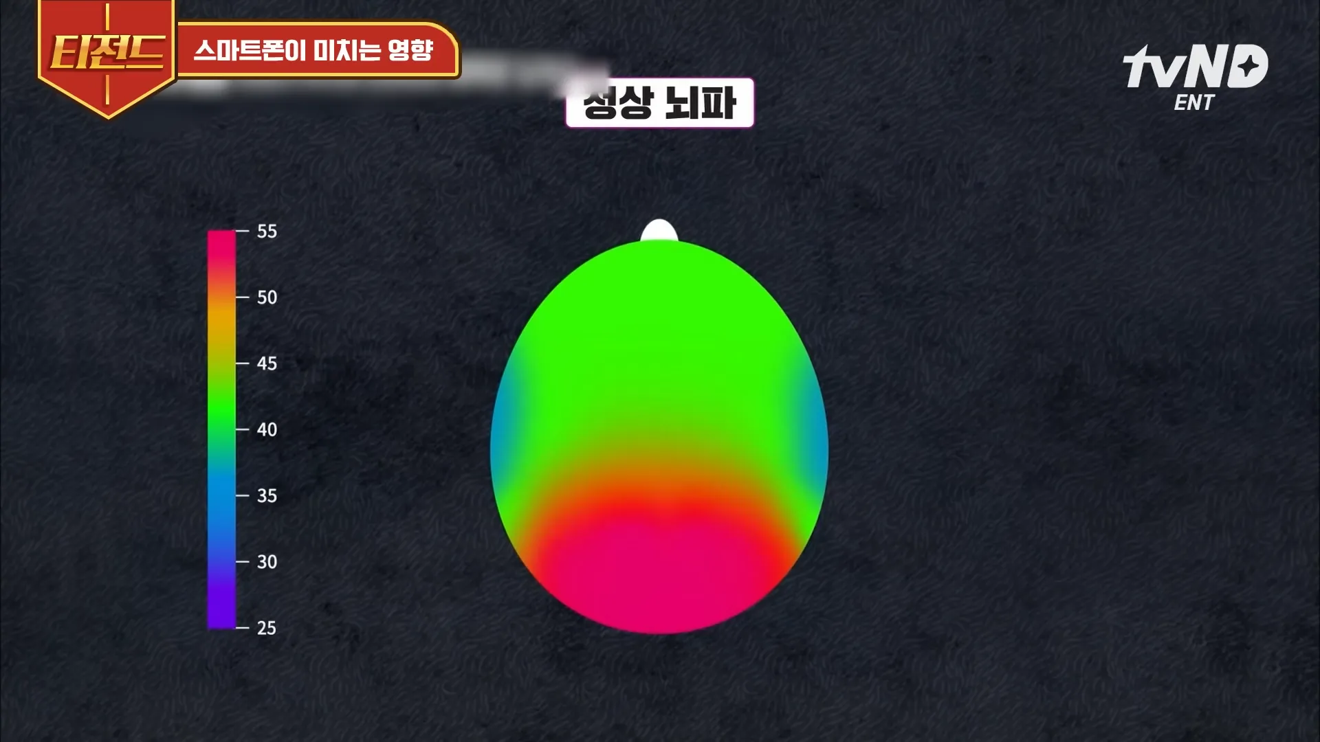 [#티전드] 아이들의 디지털기기 사용을 제한해야 하는 이유. 뇌 발달의 불균형을 초래한다😢 뇌 신경망을 잘라내기까지 ㄷㄷ _ #미래수업 2-0 screenshot.webp