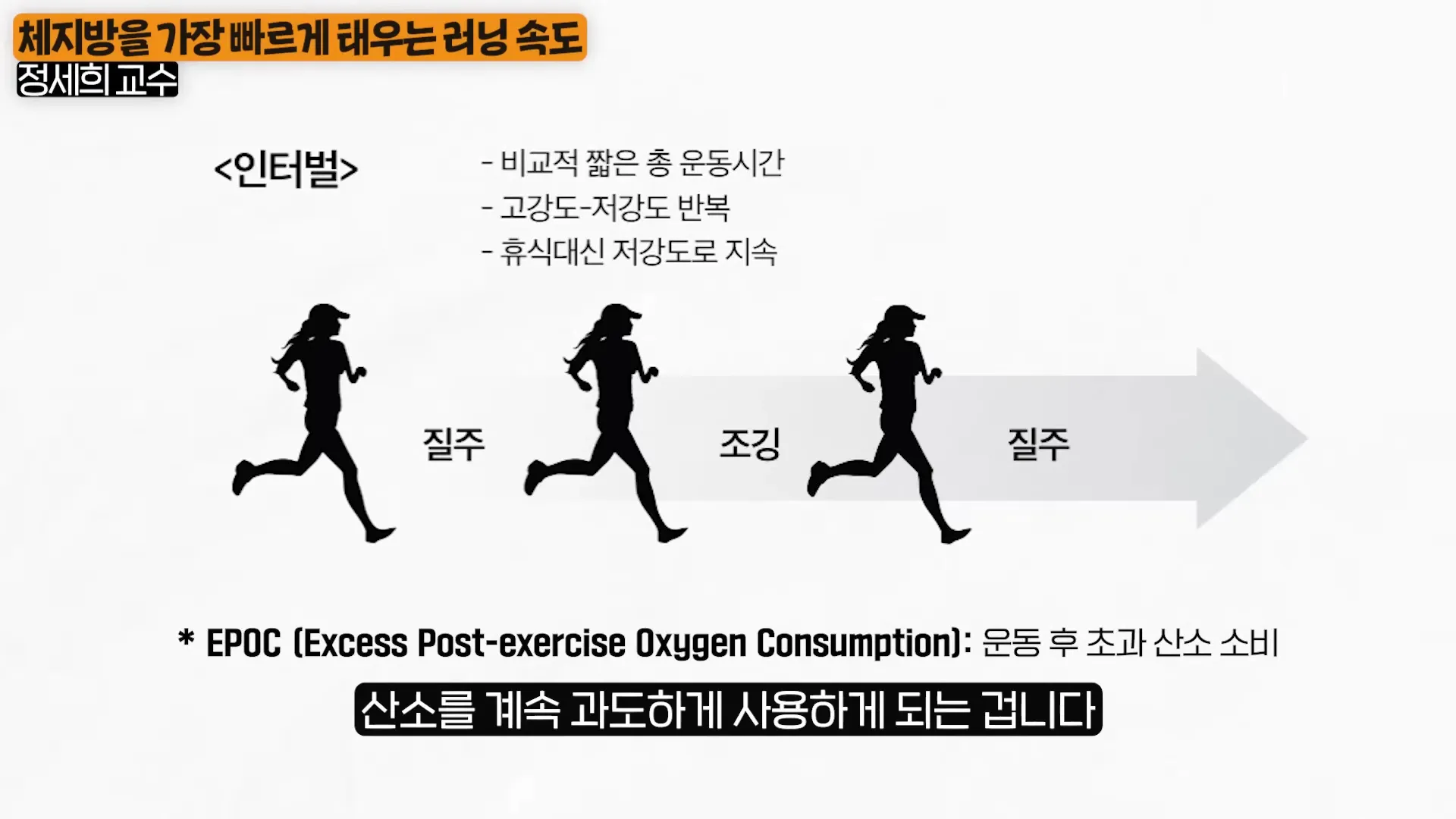 과학적으로 체지방 분해 ',극대화', 하고, 최고 효율로 달리는 방법 (23년 달린 서울대 의사 2부) 1-33 screenshot.webp